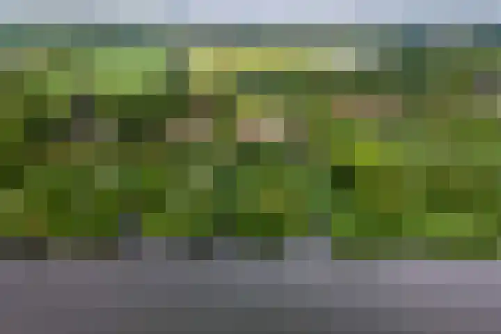 Zuiderlingedijk 10 Spijk thumbnail 70
