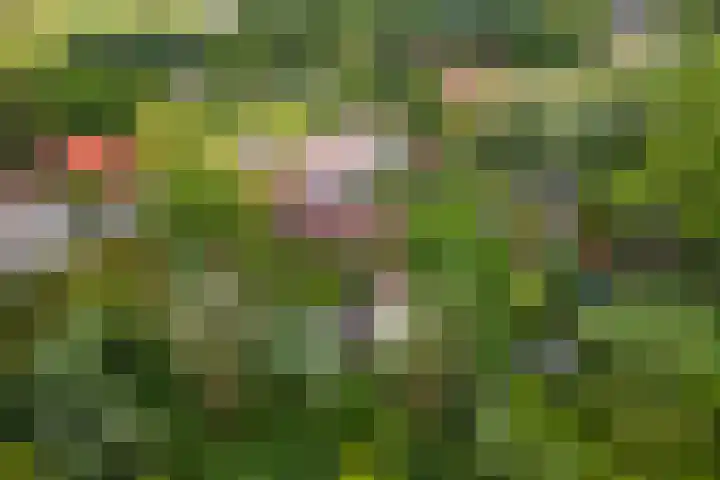 Zuiderlingedijk 10 Spijk thumbnail 71