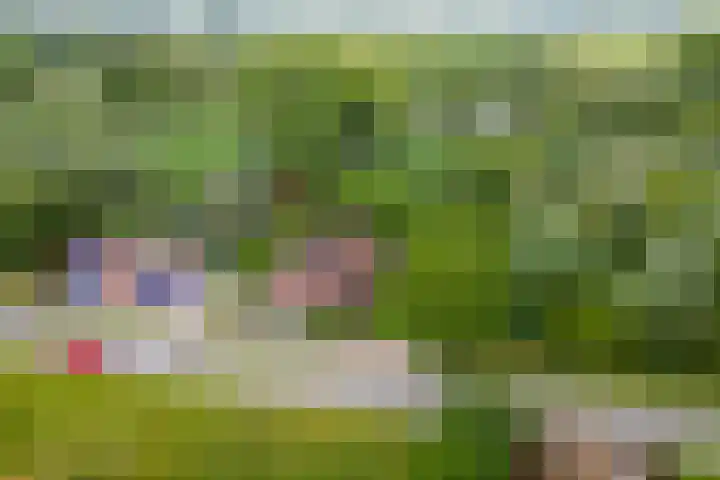 Zuiderlingedijk 10 Spijk thumbnail 73