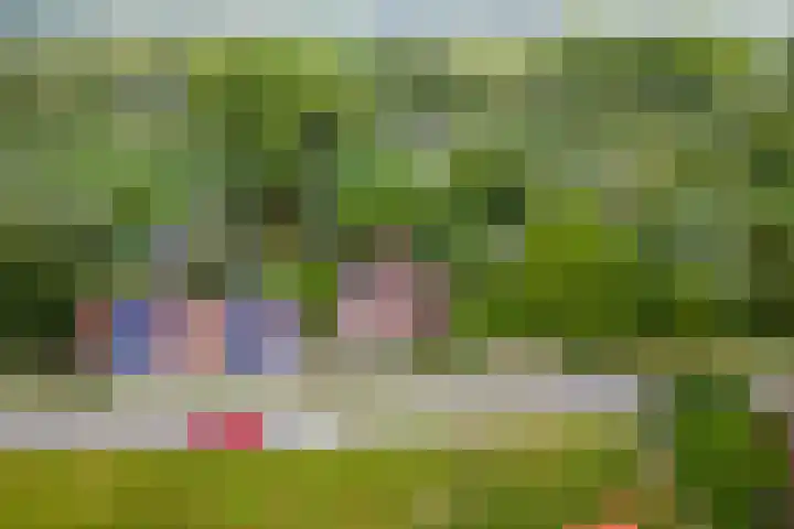 Zuiderlingedijk 10 Spijk thumbnail 74
