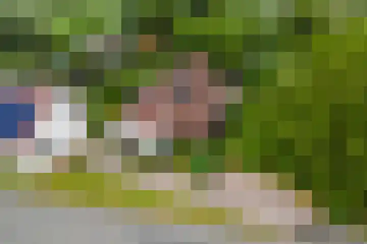 Zuiderlingedijk 10 Spijk thumbnail 75