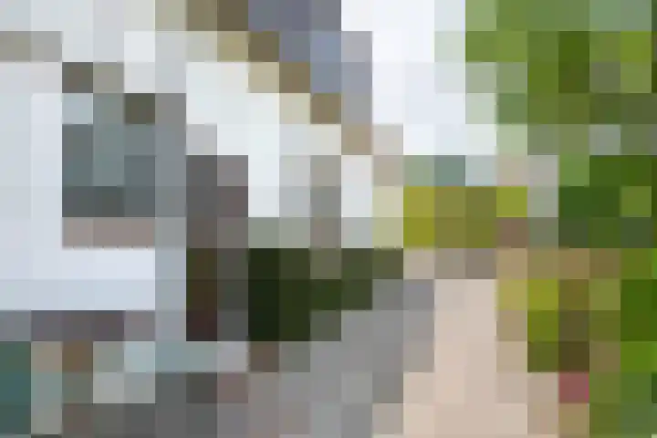Zuiderlingedijk 10 Spijk thumbnail 8