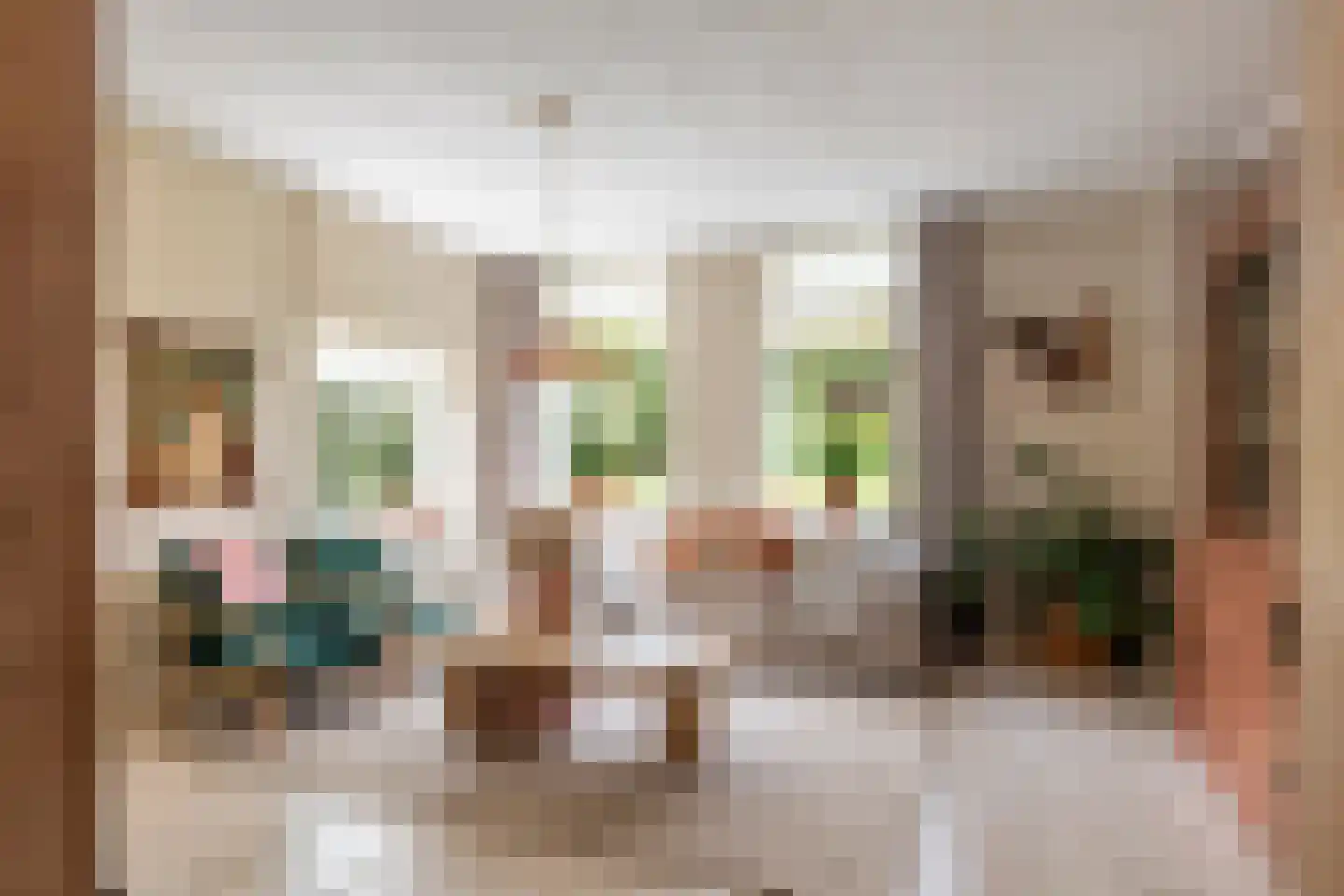 Zuiderlingedijk 117 Spijk thumbnail 13