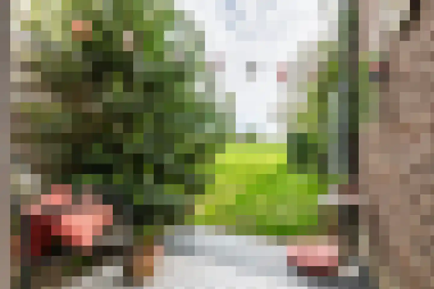 Zuiderlingedijk 117 Spijk thumbnail 22