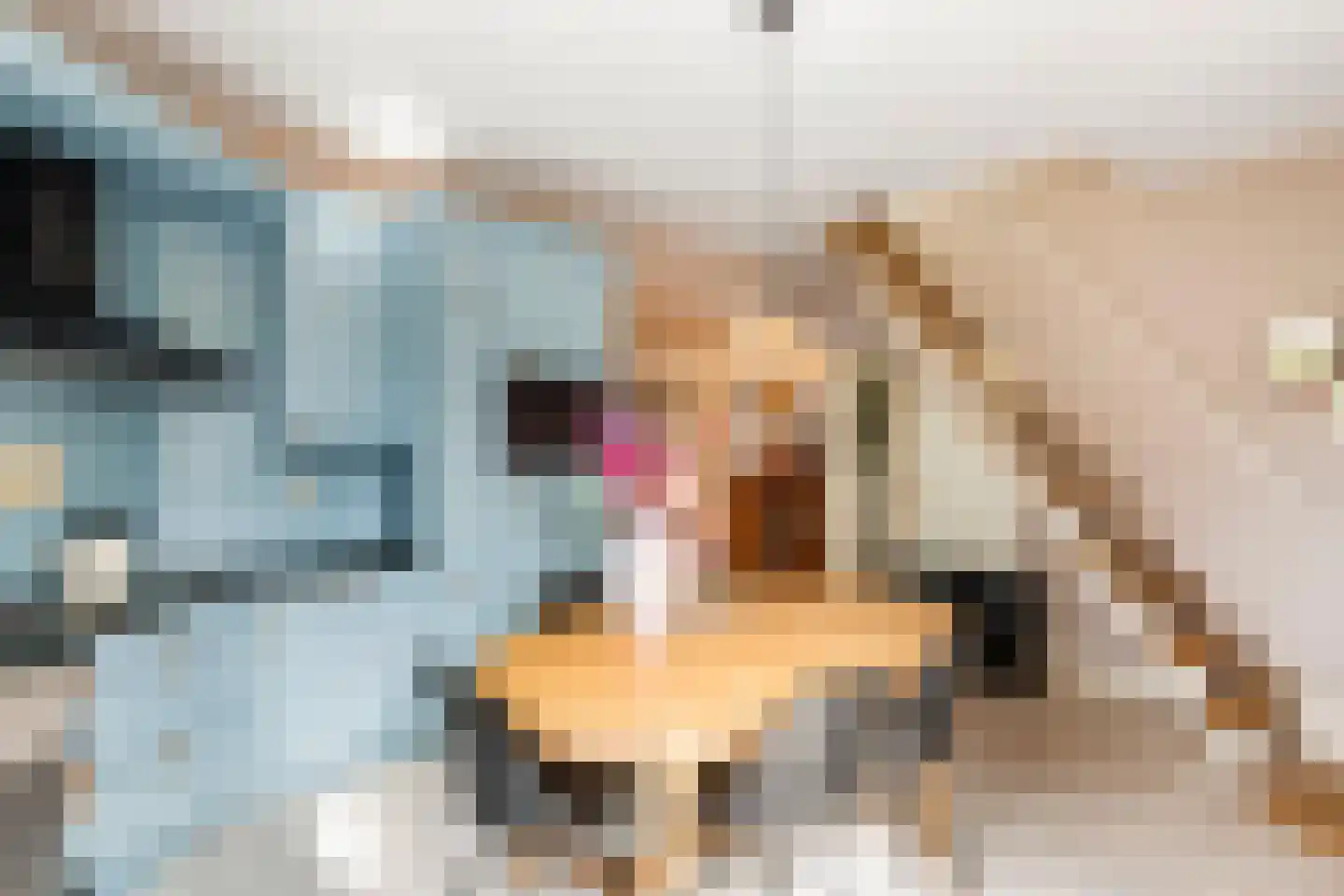 Zuiderlingedijk 117 Spijk thumbnail 23