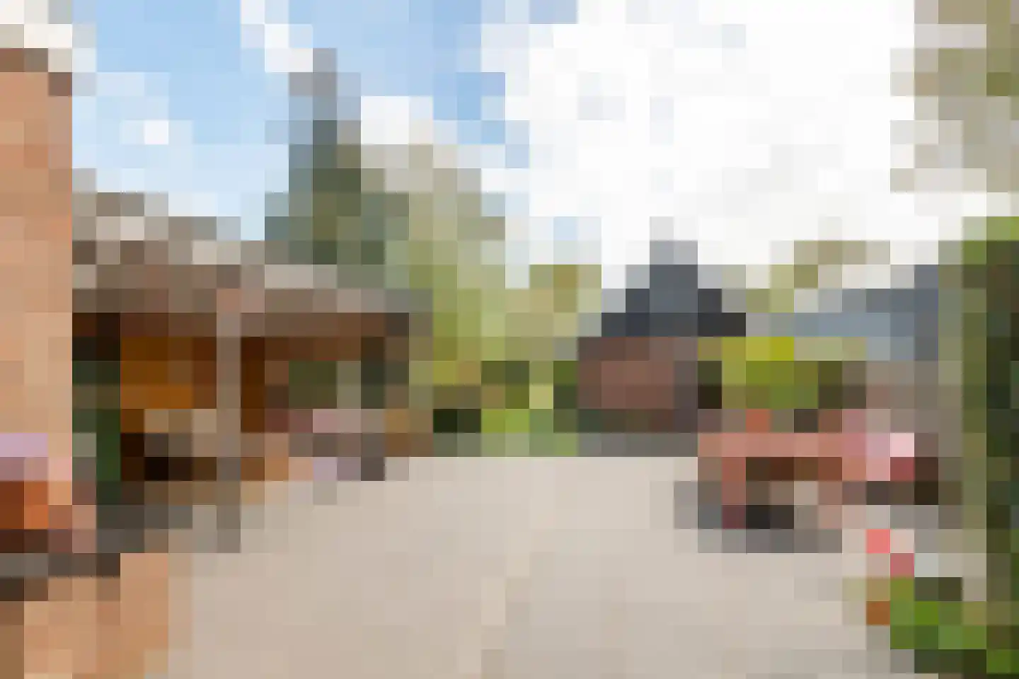 Zuiderlingedijk 117 Spijk thumbnail 36
