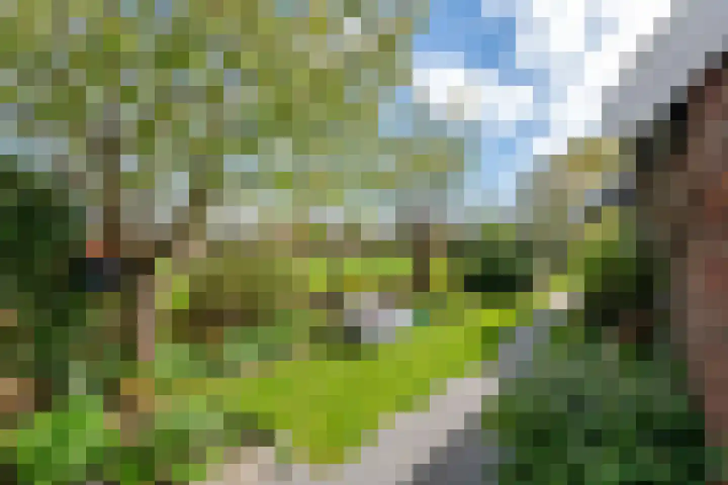 Zuiderlingedijk 117 Spijk thumbnail 40