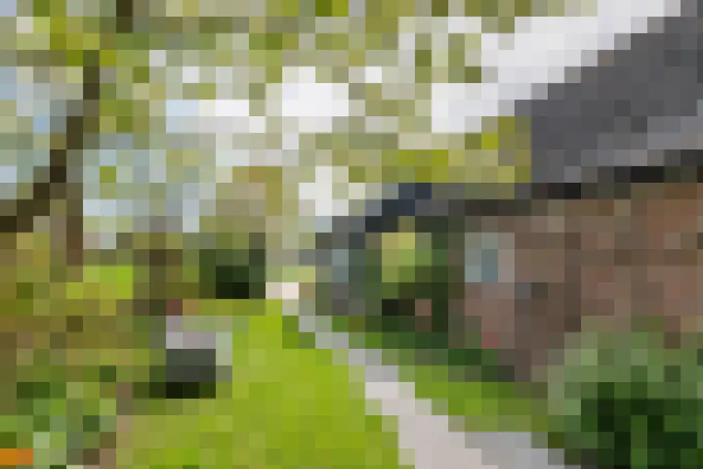 Zuiderlingedijk 117 Spijk thumbnail 41