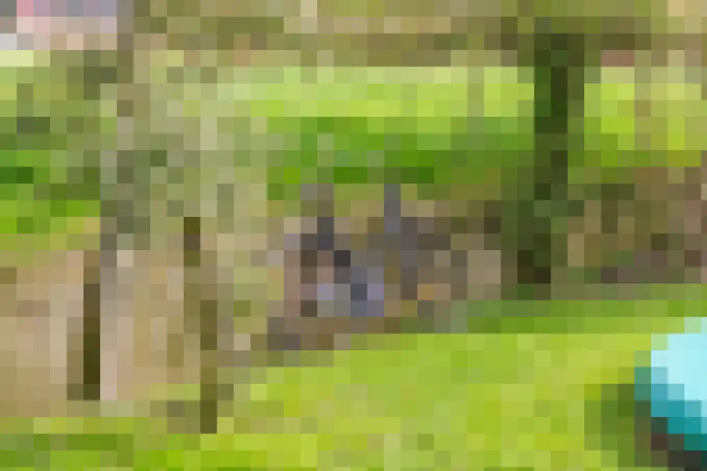 Zuiderlingedijk 117 Spijk thumbnail 44