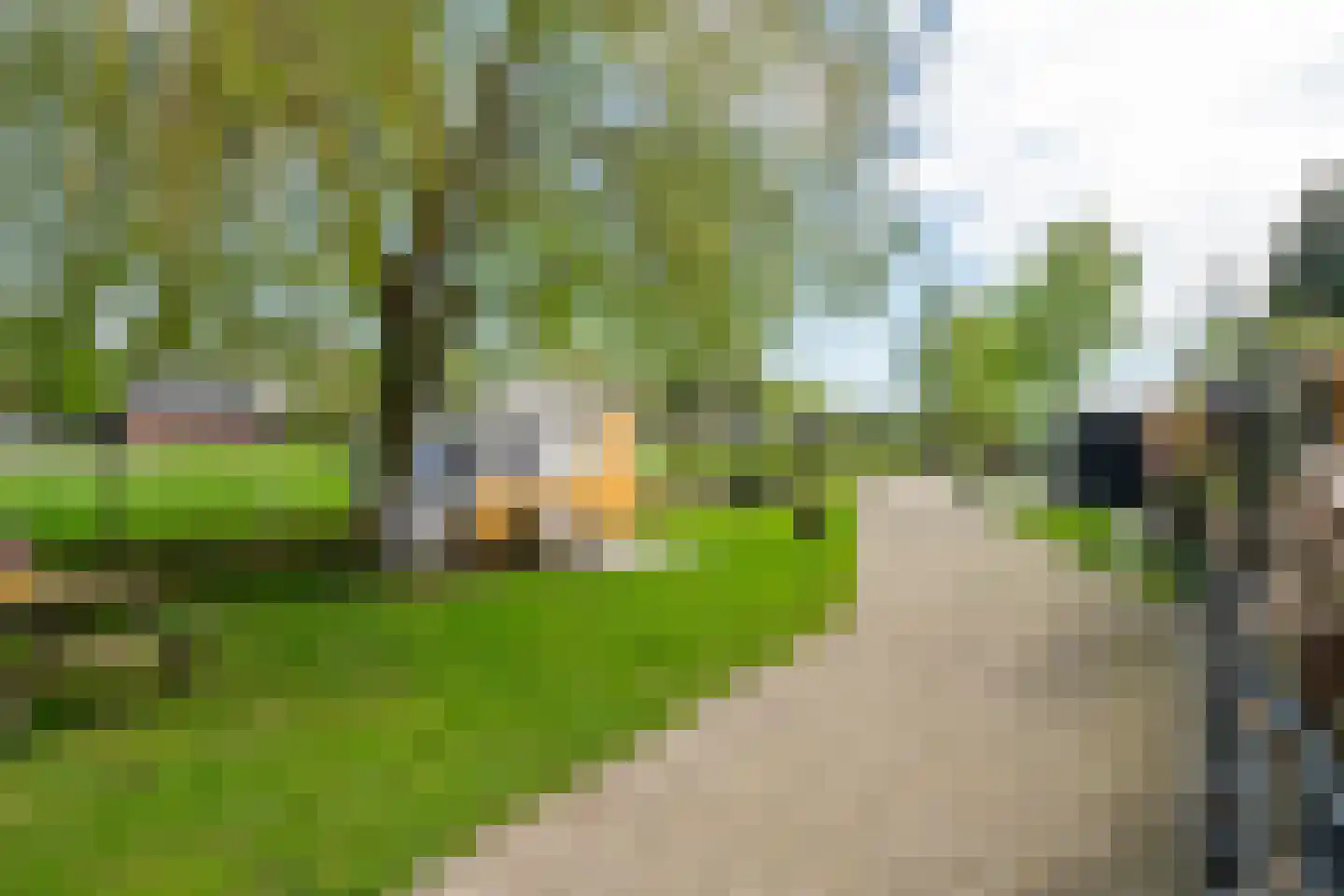 Zuiderlingedijk 117 Spijk thumbnail 45