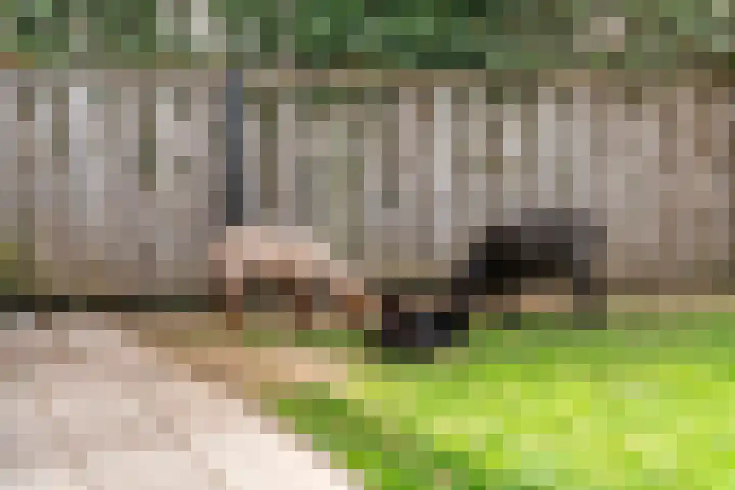 Zuiderlingedijk 117 Spijk thumbnail 49