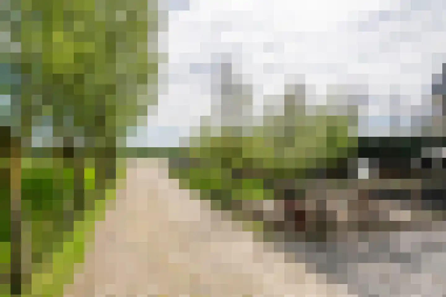 Zuiderlingedijk 117 Spijk thumbnail 54