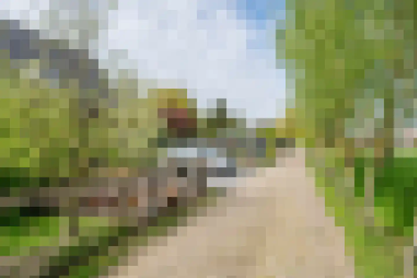 Zuiderlingedijk 117 Spijk thumbnail 57
