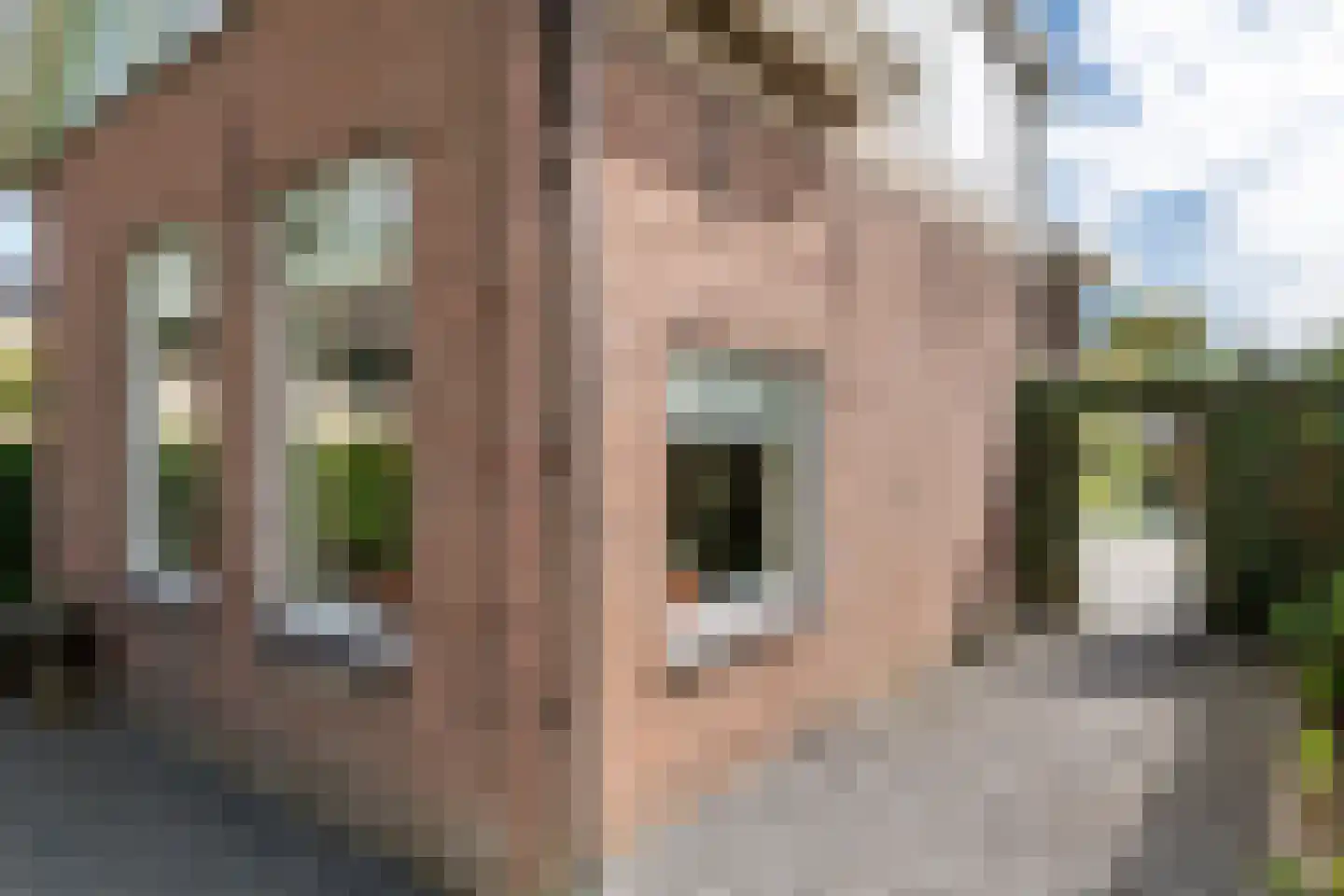 Zuiderlingedijk 117 Spijk thumbnail 6