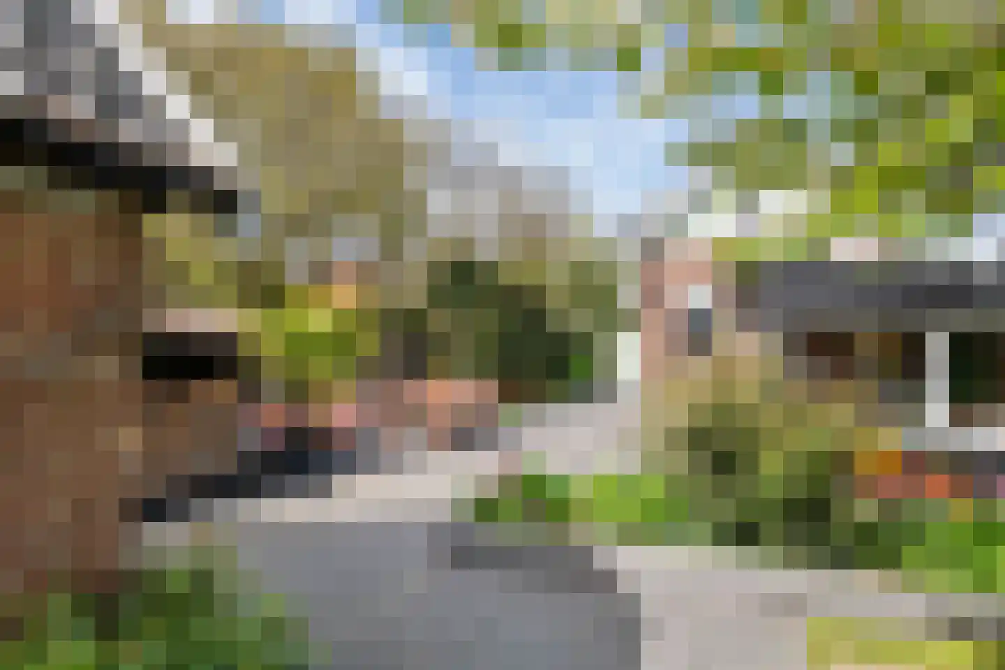 Zuiderlingedijk 117 Spijk thumbnail 62