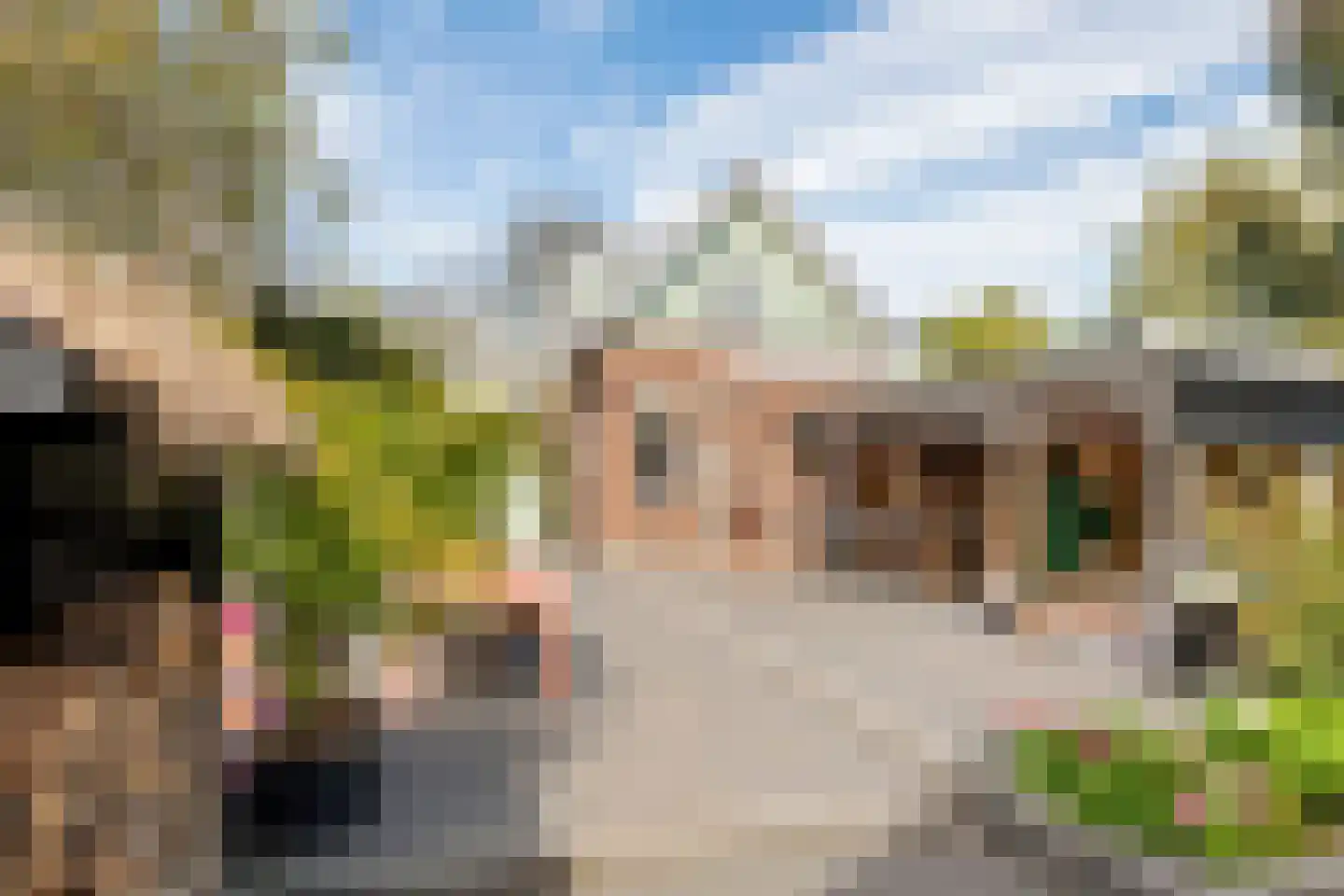 Zuiderlingedijk 117 Spijk thumbnail 63