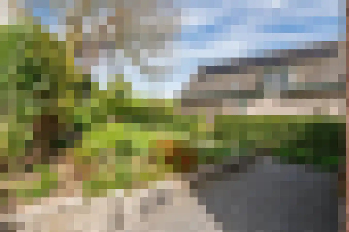 Zuiderlingedijk 117 Spijk thumbnail 66