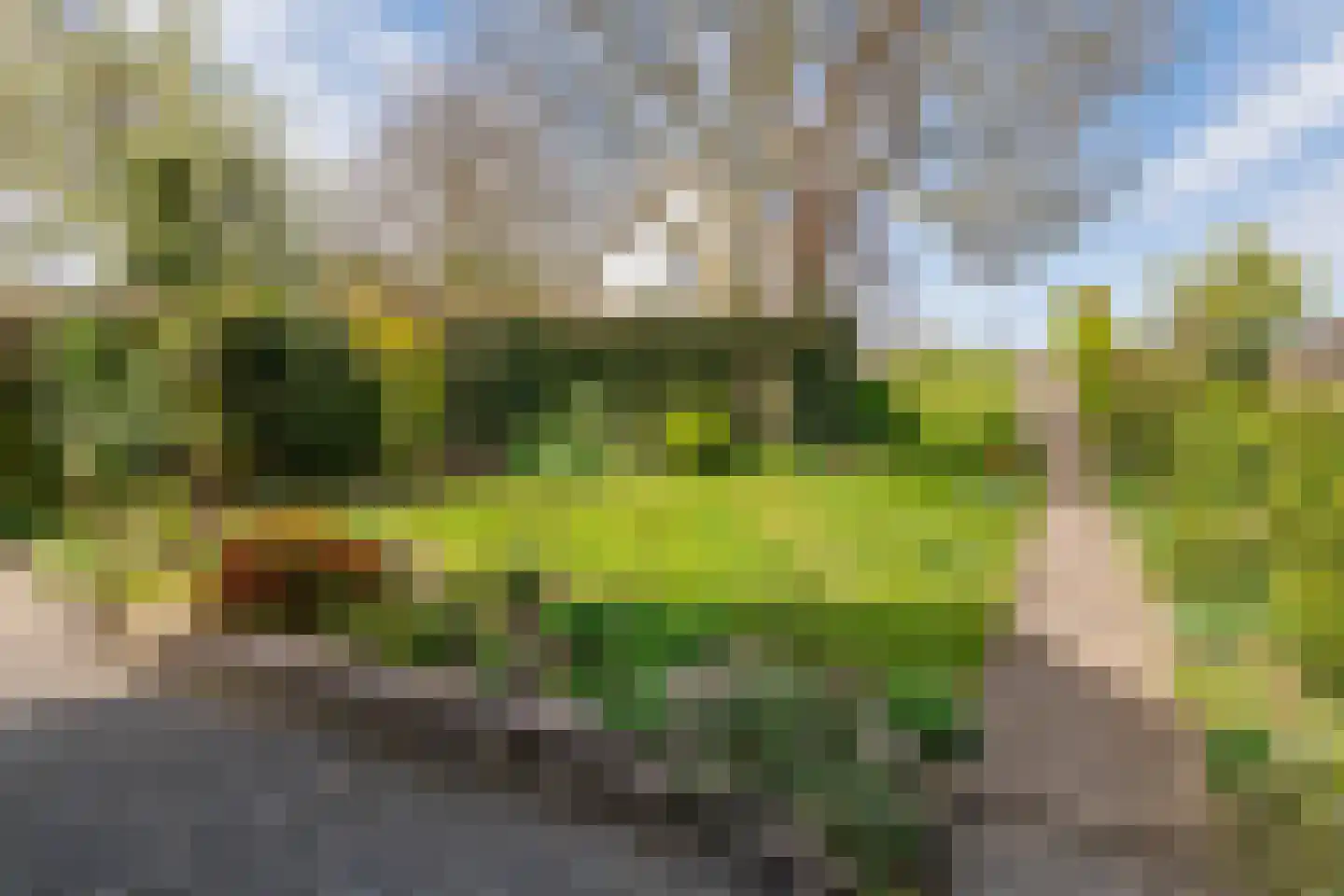 Zuiderlingedijk 117 Spijk thumbnail 67