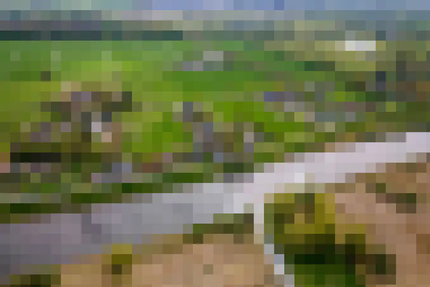 Zuiderlingedijk 117 Spijk thumbnail 71