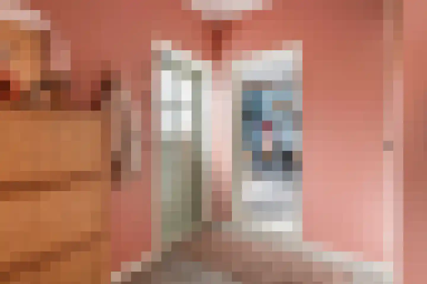 Zuiderlingedijk 117 Spijk thumbnail 8