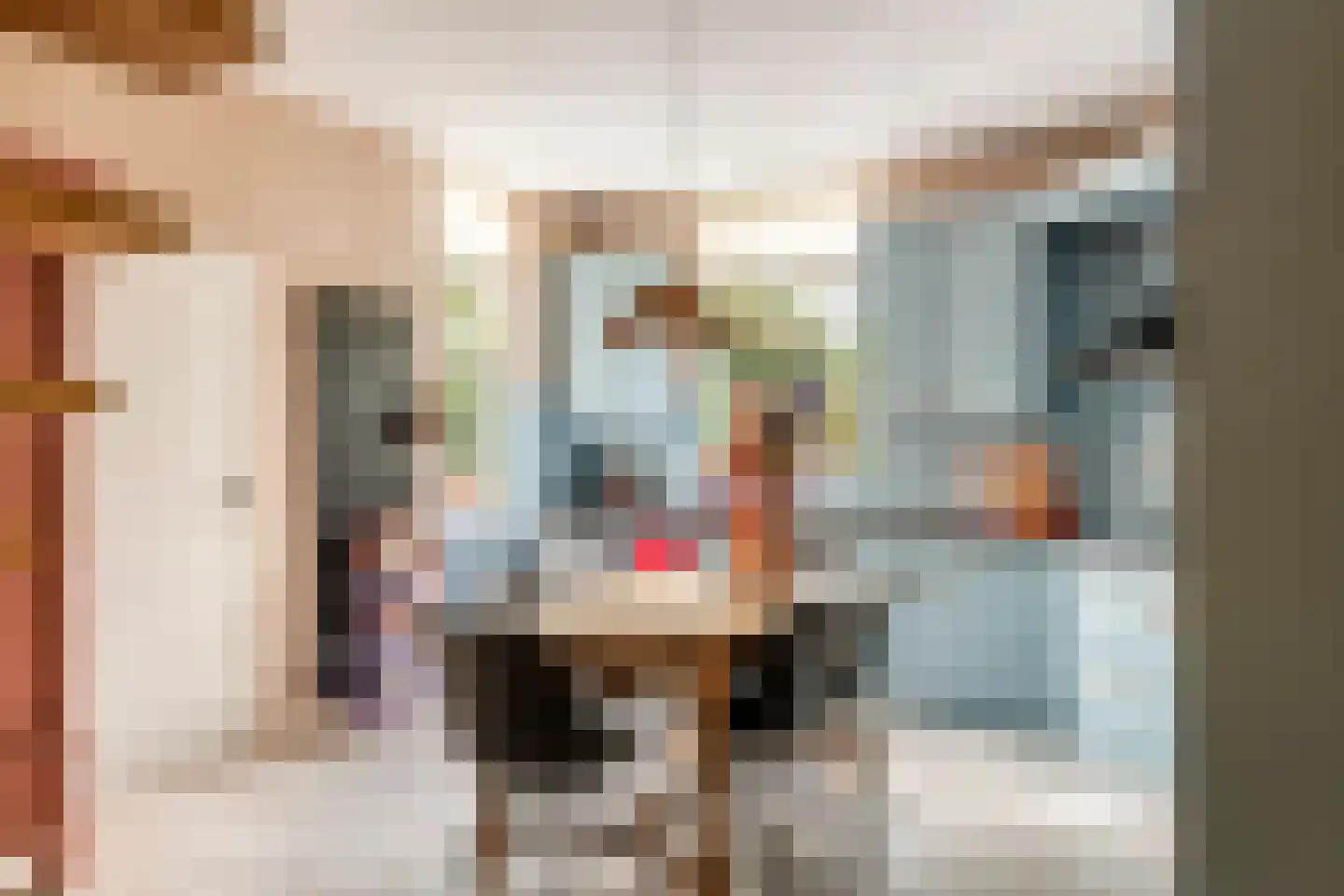 Zuiderlingedijk 117 Spijk thumbnail 9