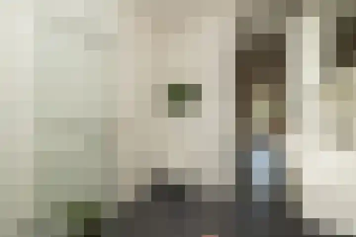 Zuiderlingedijk 135 Spijk