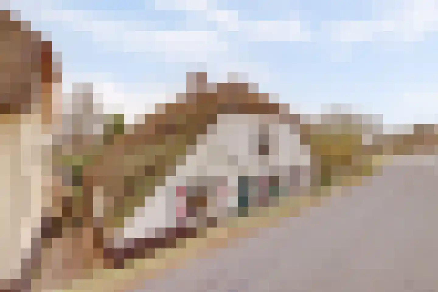 Zuiderlingedijk 135 Spijk
