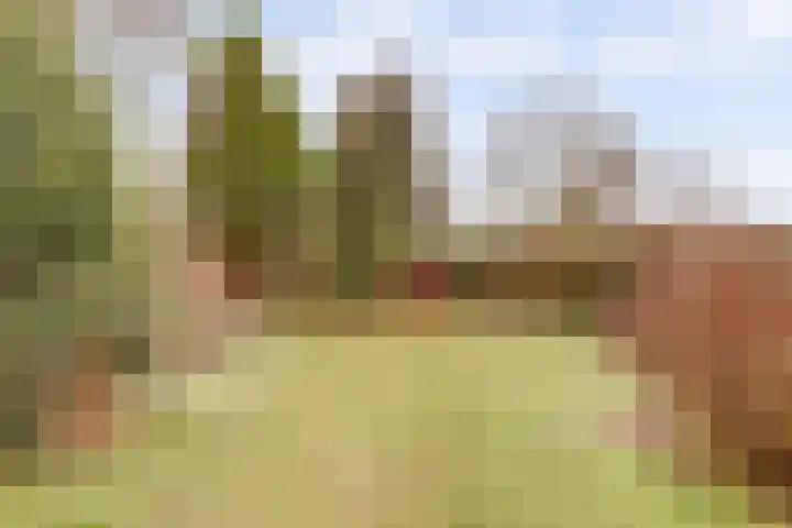 Zuiderlingedijk 135 Spijk thumbnail 10