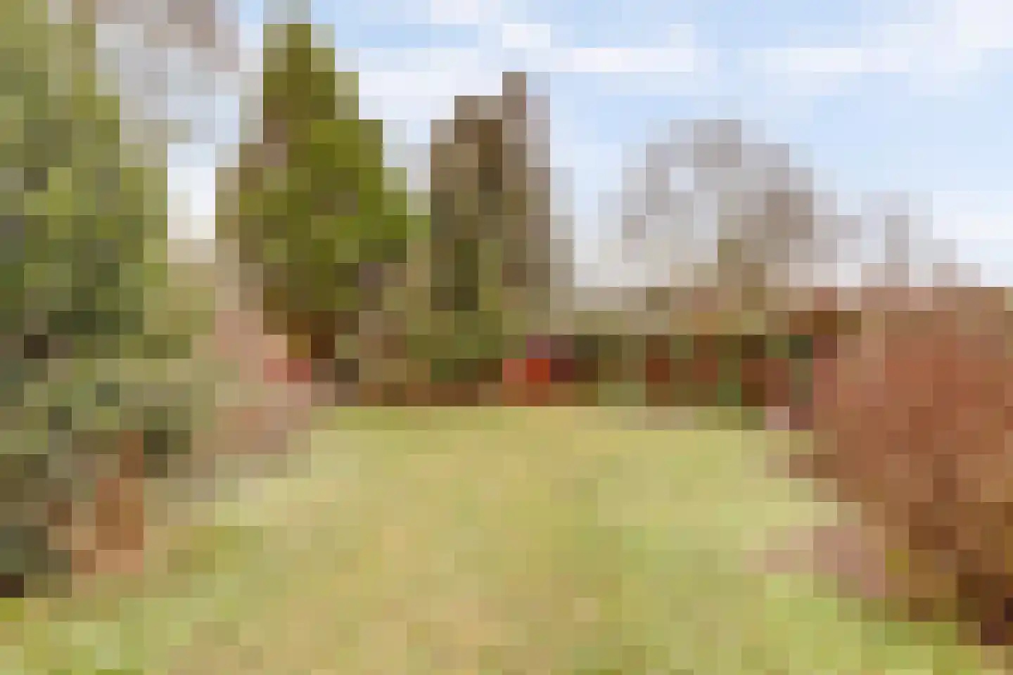 Zuiderlingedijk 135 Spijk thumbnail 10
