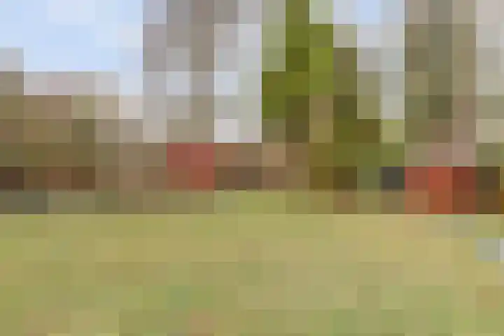 Zuiderlingedijk 135 Spijk thumbnail 11