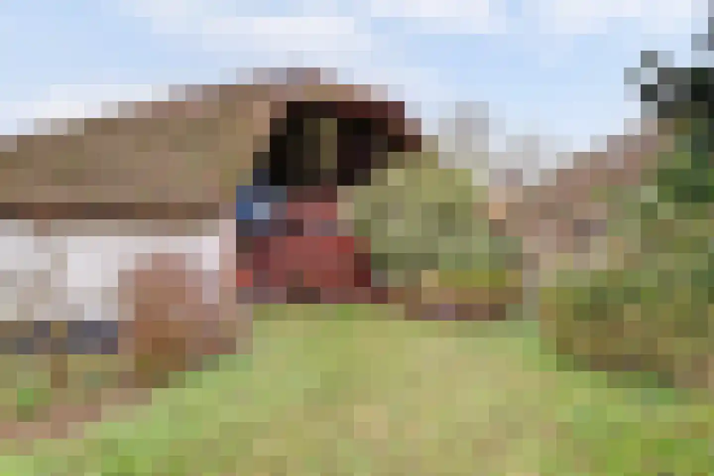 Zuiderlingedijk 135 Spijk thumbnail 12