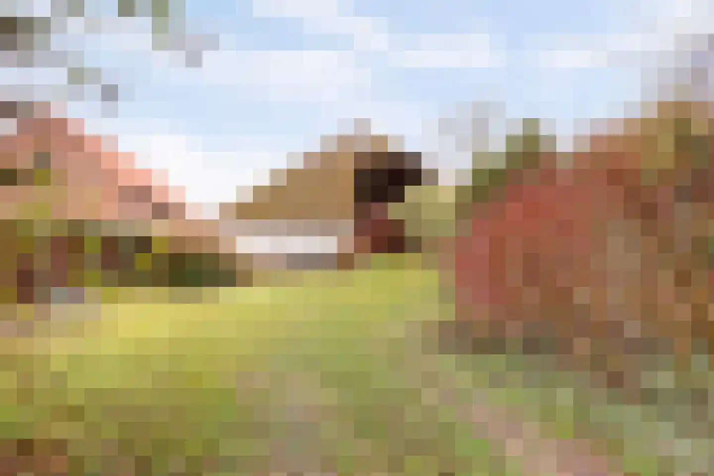 Zuiderlingedijk 135 Spijk thumbnail 15