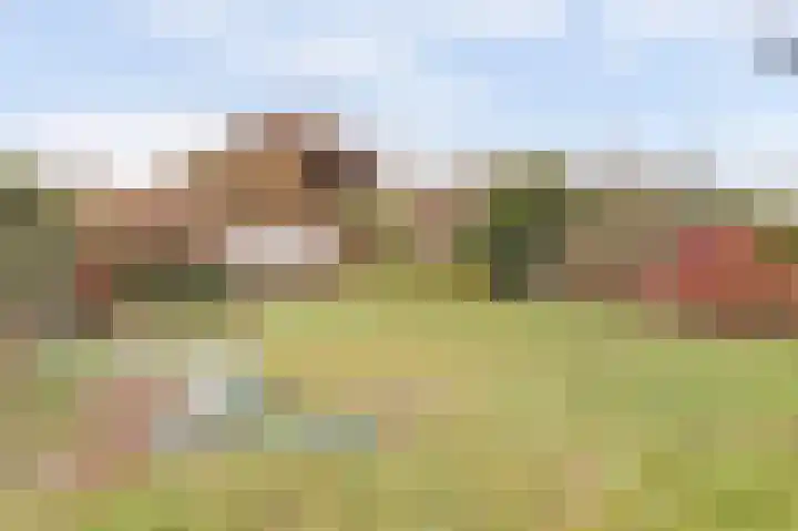 Zuiderlingedijk 135 Spijk thumbnail 16