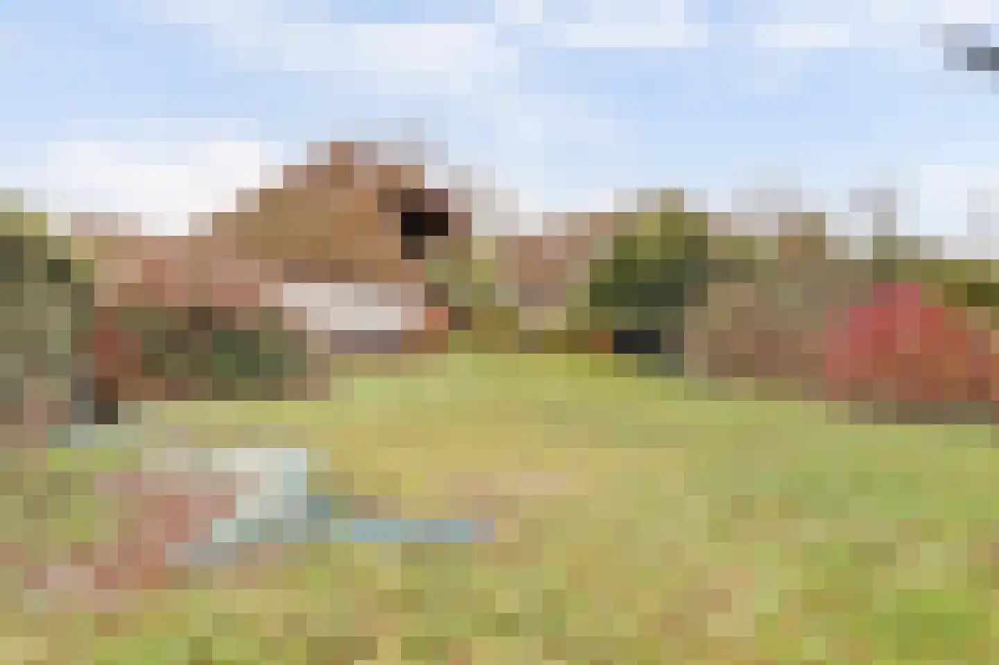 Zuiderlingedijk 135 Spijk thumbnail 16