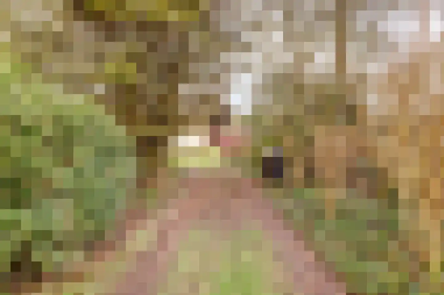 Zuiderlingedijk 135 Spijk thumbnail 17