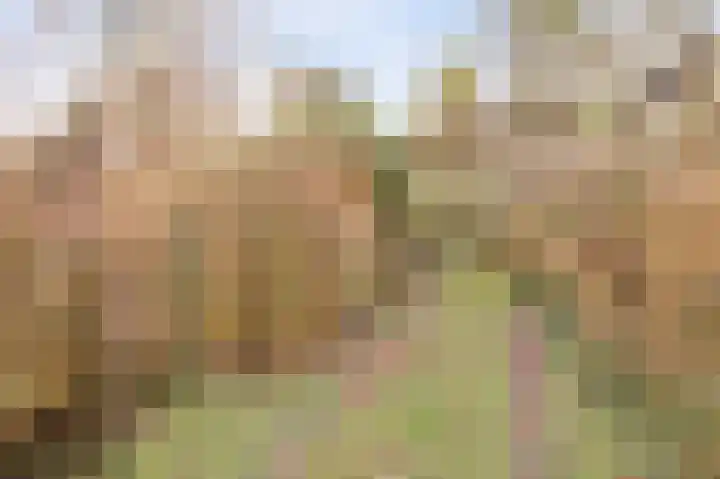 Zuiderlingedijk 135 Spijk thumbnail 18