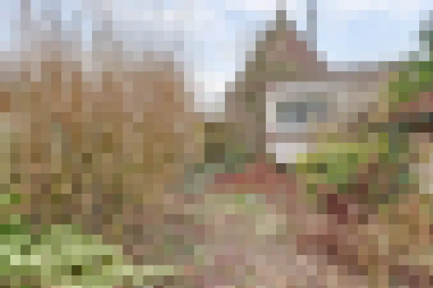 Zuiderlingedijk 135 Spijk thumbnail 19