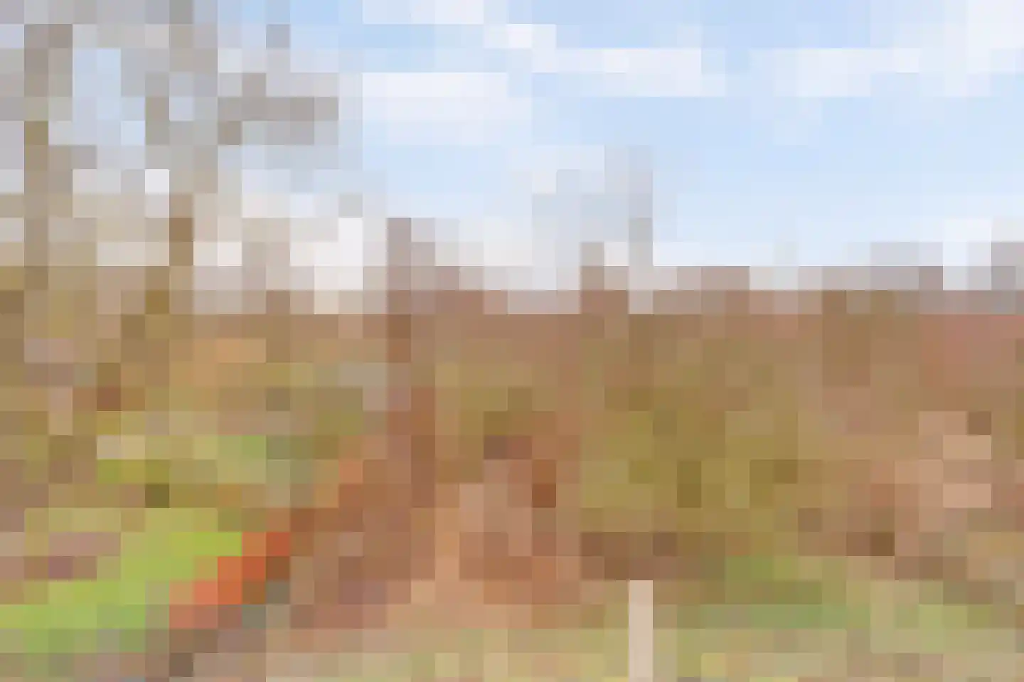 Zuiderlingedijk 135 Spijk thumbnail 22