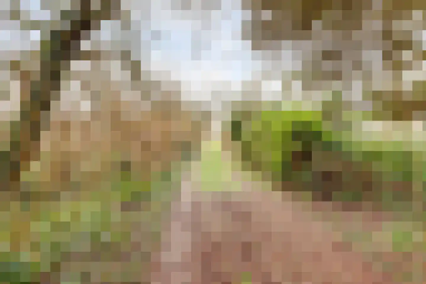 Zuiderlingedijk 135 Spijk thumbnail 23