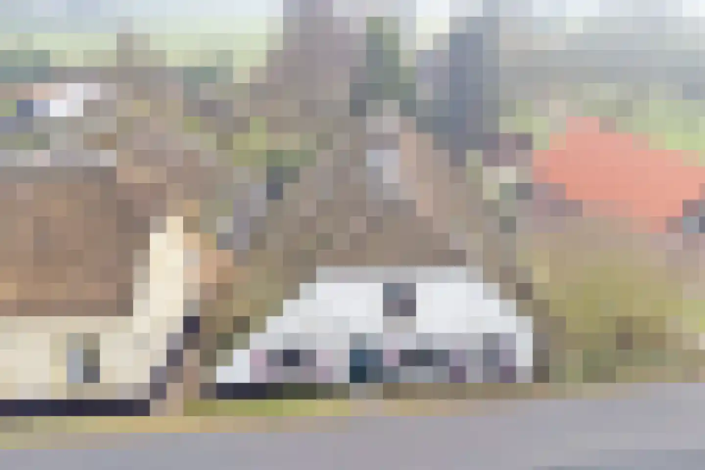 Zuiderlingedijk 135 Spijk thumbnail 24