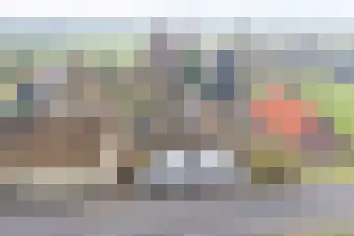 Zuiderlingedijk 135 Spijk thumbnail 25