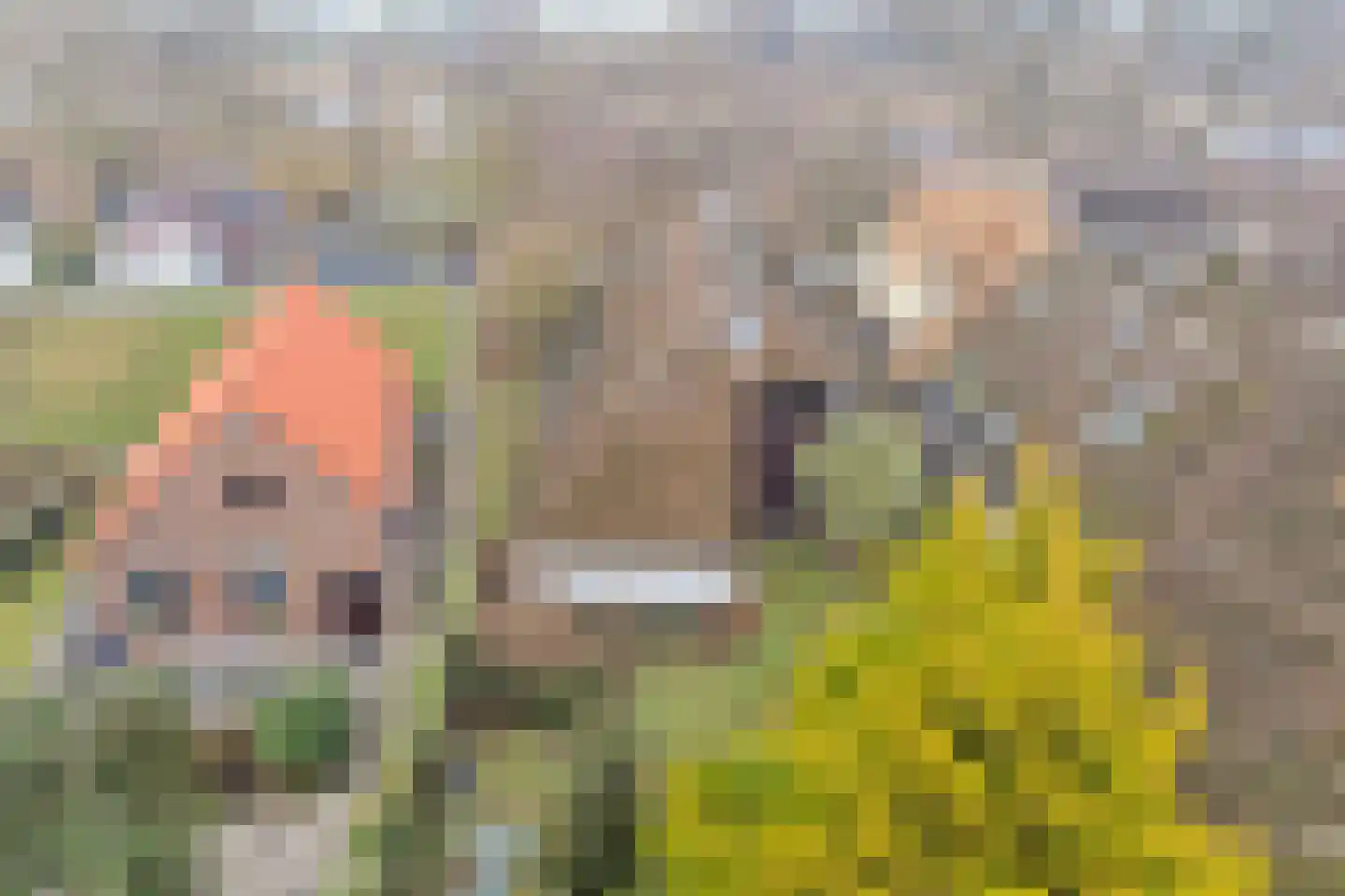 Zuiderlingedijk 135 Spijk thumbnail 26