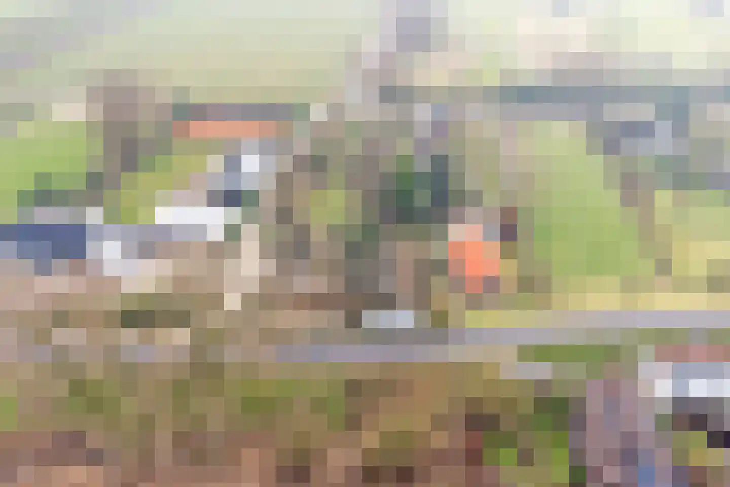 Zuiderlingedijk 135 Spijk thumbnail 27