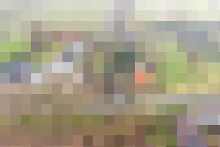 Zuiderlingedijk 135 Spijk thumbnail 27