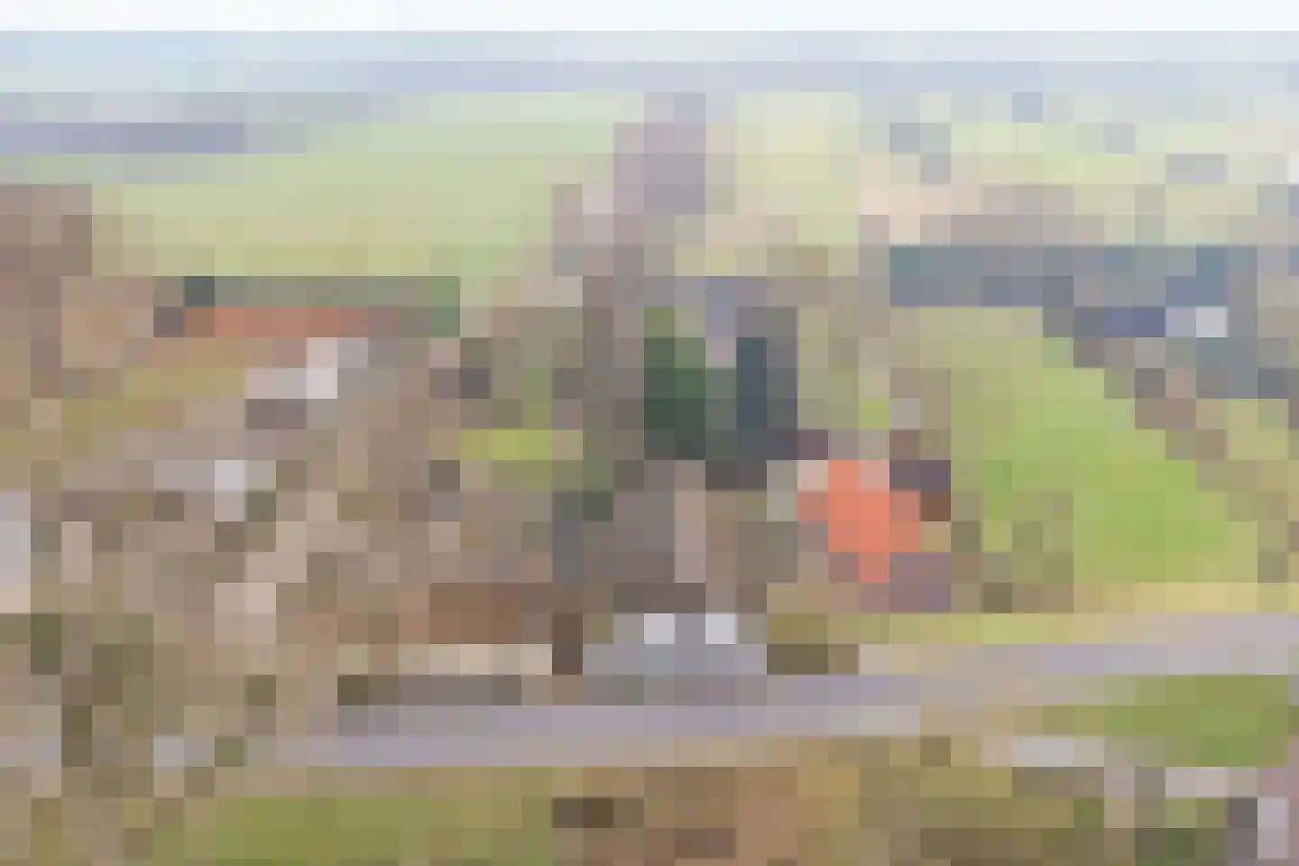 Zuiderlingedijk 135 Spijk thumbnail 29