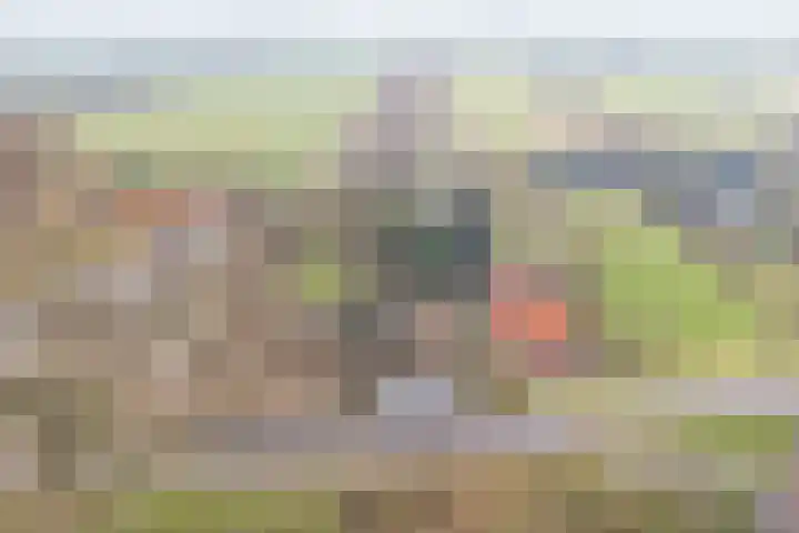 Zuiderlingedijk 135 Spijk thumbnail 29