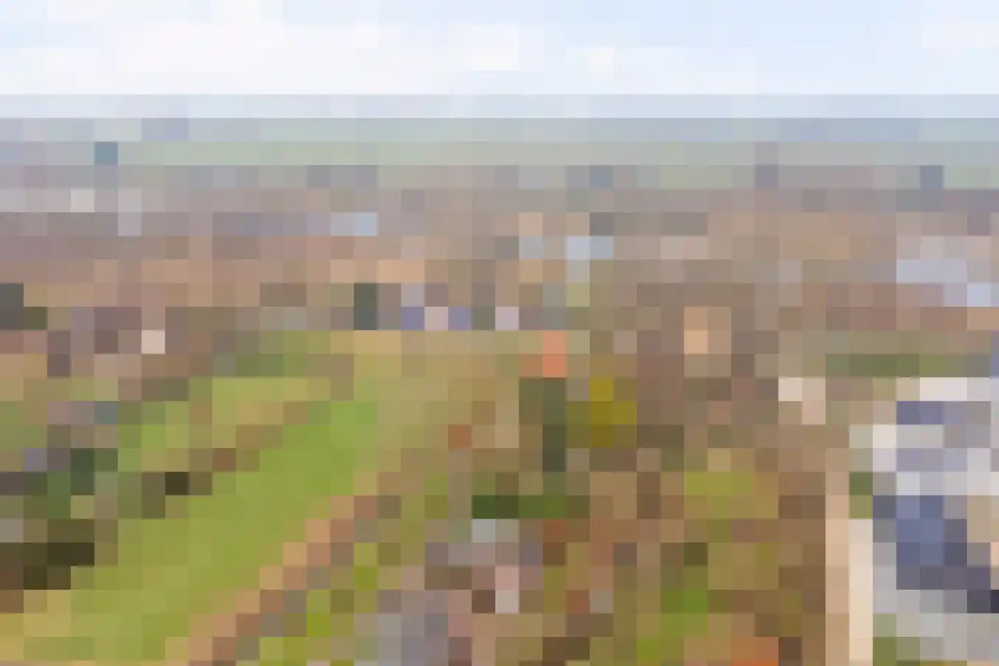 Zuiderlingedijk 135 Spijk thumbnail 30