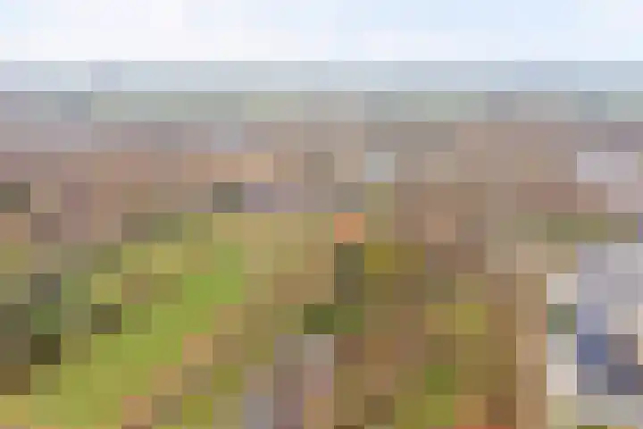Zuiderlingedijk 135 Spijk thumbnail 30