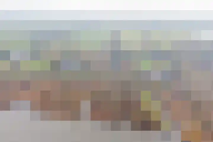 Zuiderlingedijk 135 Spijk thumbnail 32