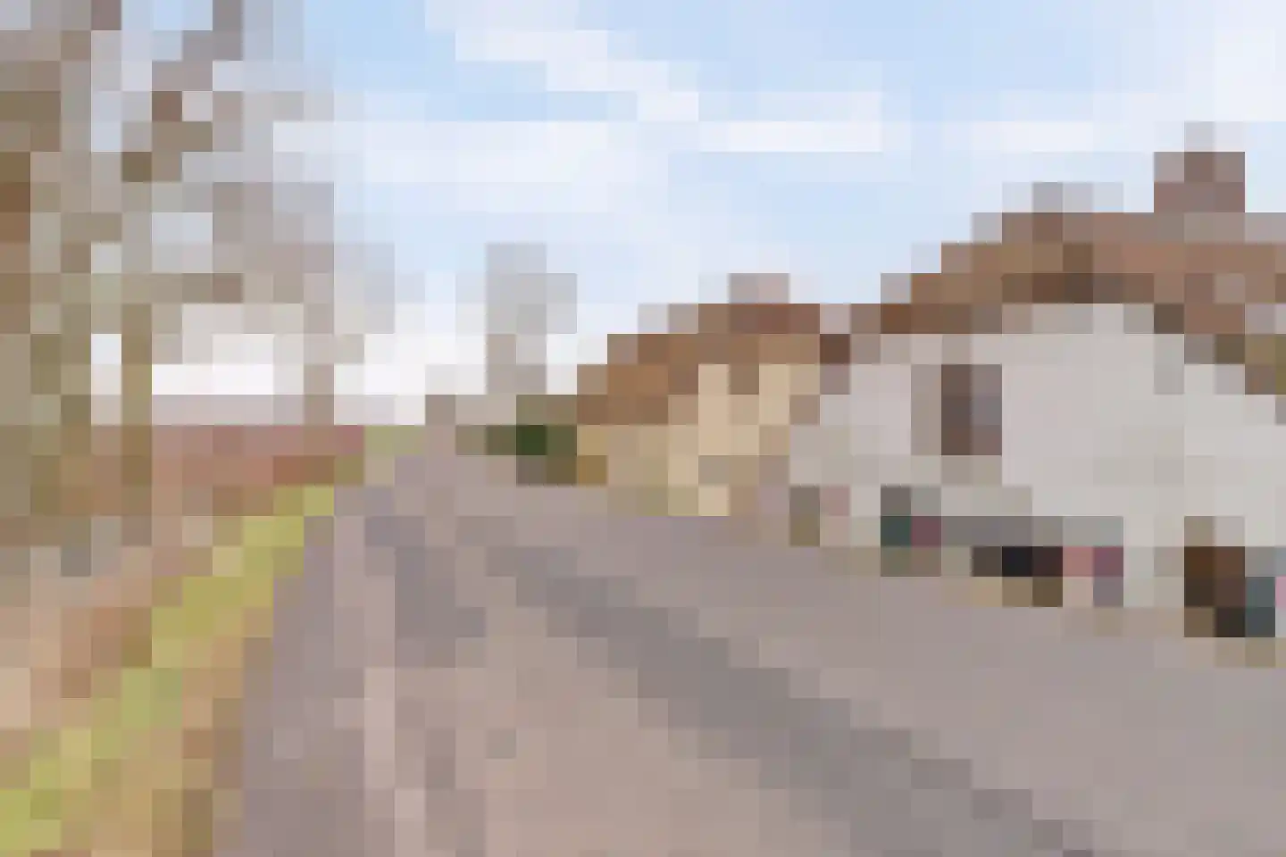Zuiderlingedijk 135 Spijk thumbnail 5